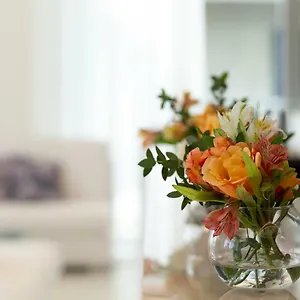 hotel-merano-rimini.riccione-hotels.org/